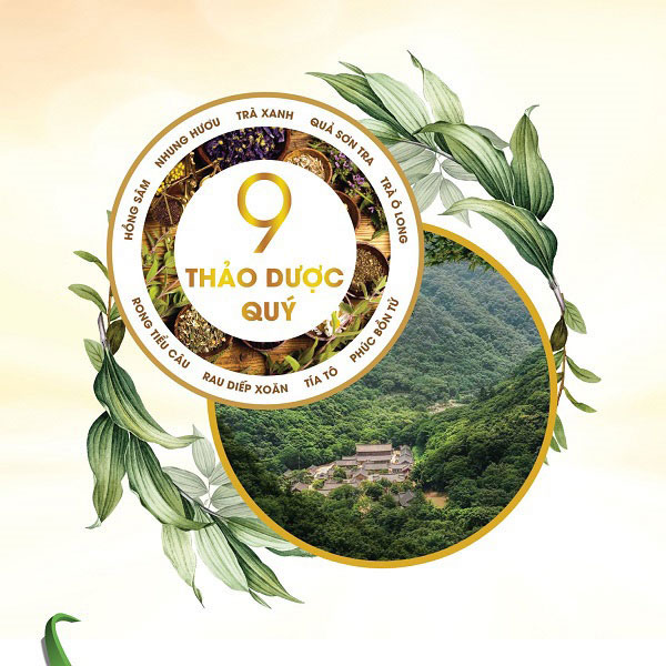 Sữa bột XO Care lon 800g Hàn Quốc cho người lớn