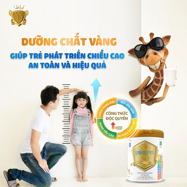 Hướng dẫn cách pha sữa XO Hàn Quốc