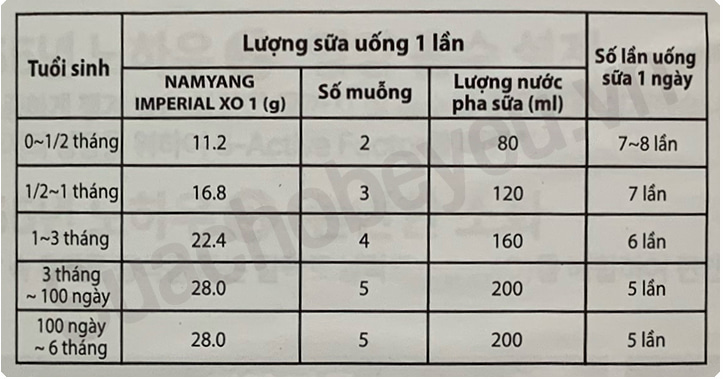 Hướng dẫn cách pha sữa XO Hàn Quốc