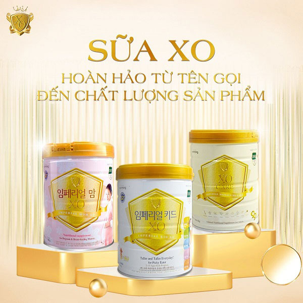 Review sữa XO Hàn Quốc, sữa XO có tốt không?