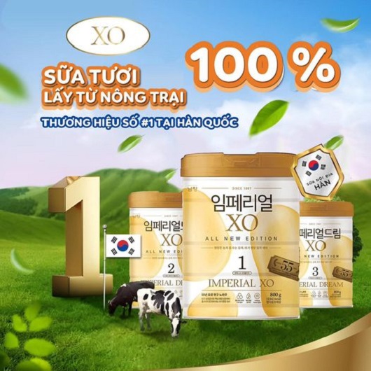 Review sữa XO Hàn Quốc, sữa XO có tốt không?