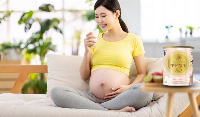 Review sữa XO mom cho mẹ bầu, sữa XO mom có tốt không?