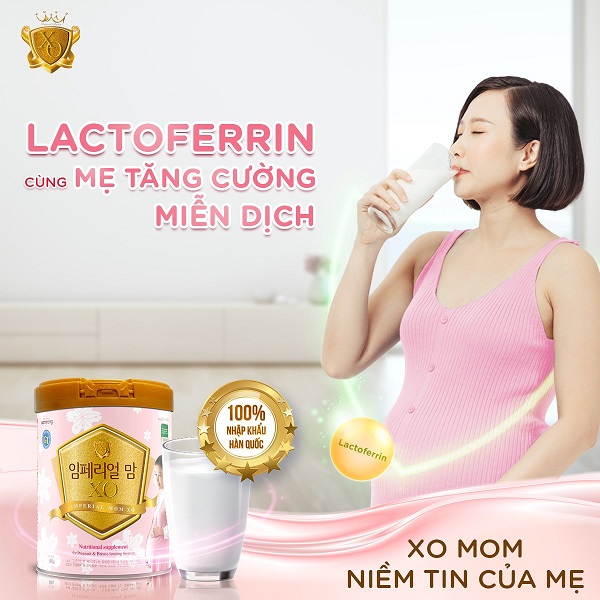 Review sữa XO mom cho mẹ bầu, sữa XO mom có tốt không?