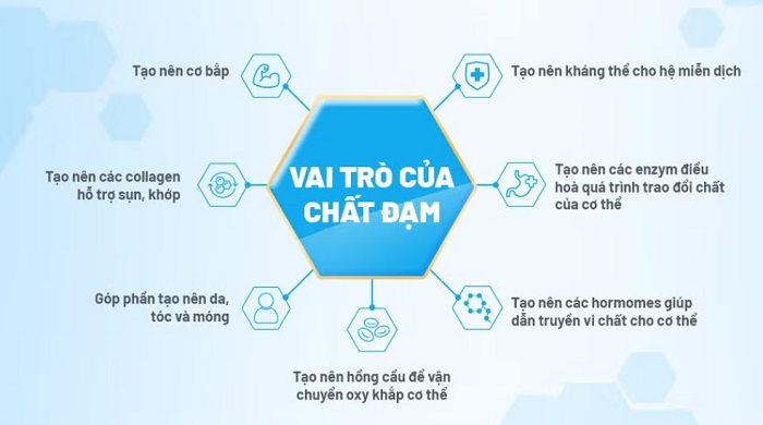 Sữa XO after formula nội địa Hàn Quốc lon 800g cho trẻ 18-36 tháng