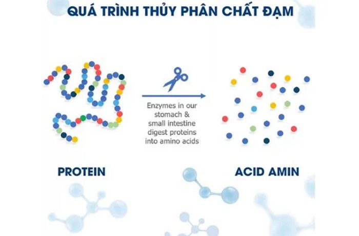 Sữa XO after formula nội địa Hàn Quốc lon 800g cho trẻ 18-36 tháng