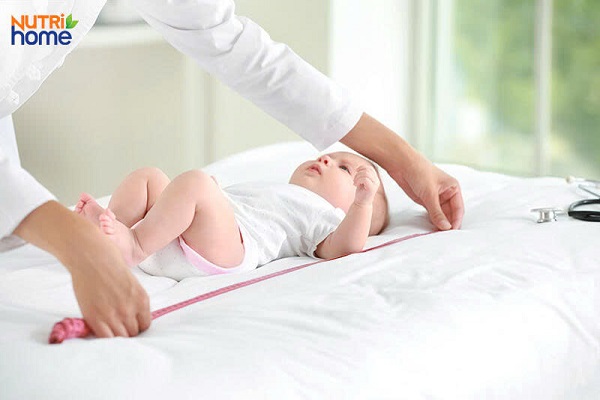 Sữa XO số 1 nội địa Hàn Quốc lon 800g cho trẻ 0-6 tháng tuổi