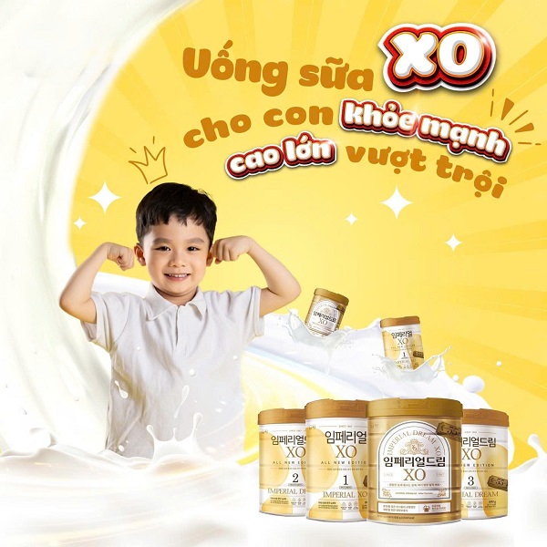 Sữa XO số 1 nội địa Hàn Quốc lon 800g cho trẻ 0-6 tháng tuổi