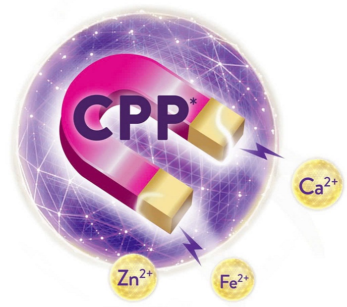 Sữa XO số 2 nội địa Hàn Quốc lon 800g cho trẻ 6-12 tháng tuổi